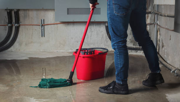 Best Local water damage restoration  in Wilber, NE