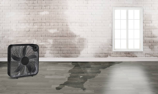  Wilber, NE Water damage restoration Pros