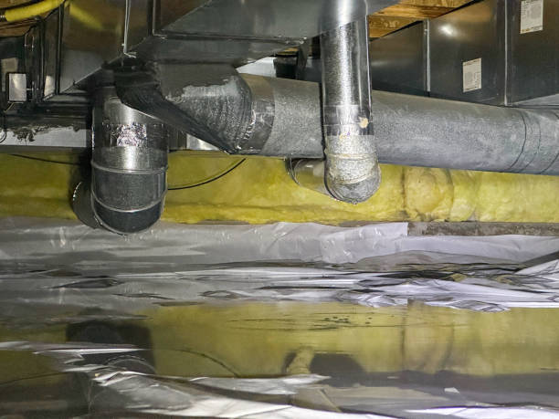 Best Flooded house restoration  in Wilber, NE