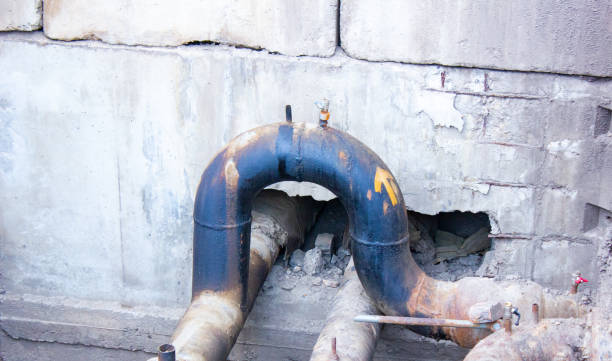 Best Water damage cleanup near me  in Wilber, NE